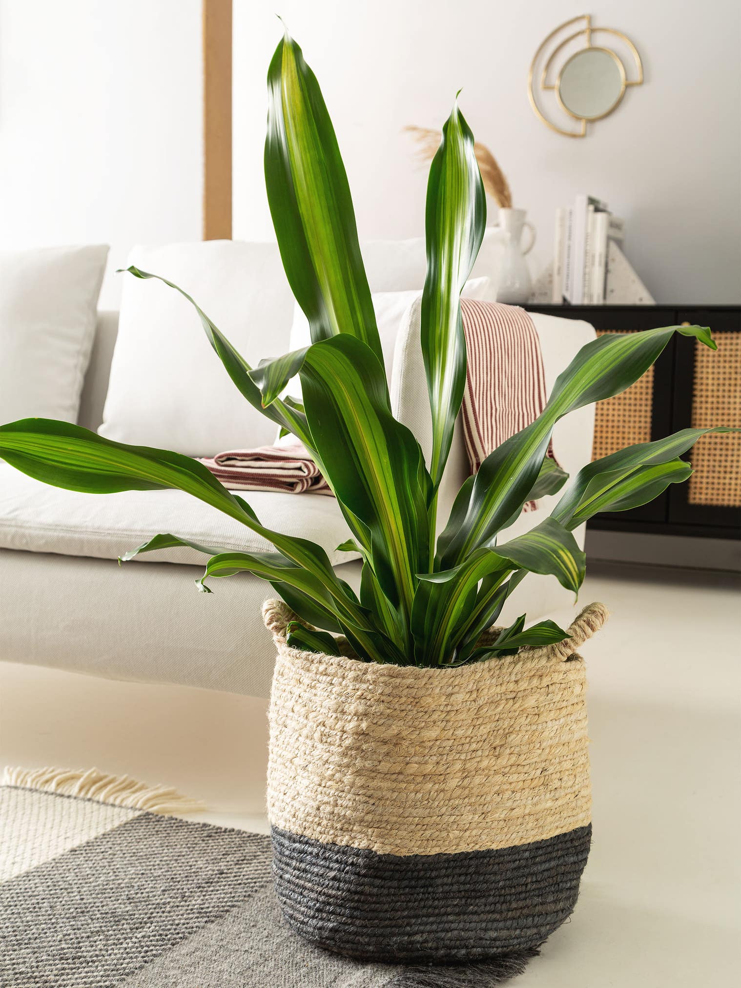 Korb Aylin Cream/Grau im Design Uni aus 100% Hanf von benuta Pure