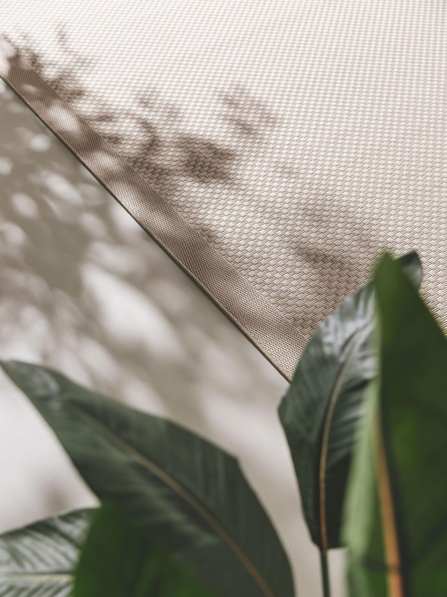 Rug made of 100% Polypropylene in White with a 6 - 10 mm high pile by benuta Nest