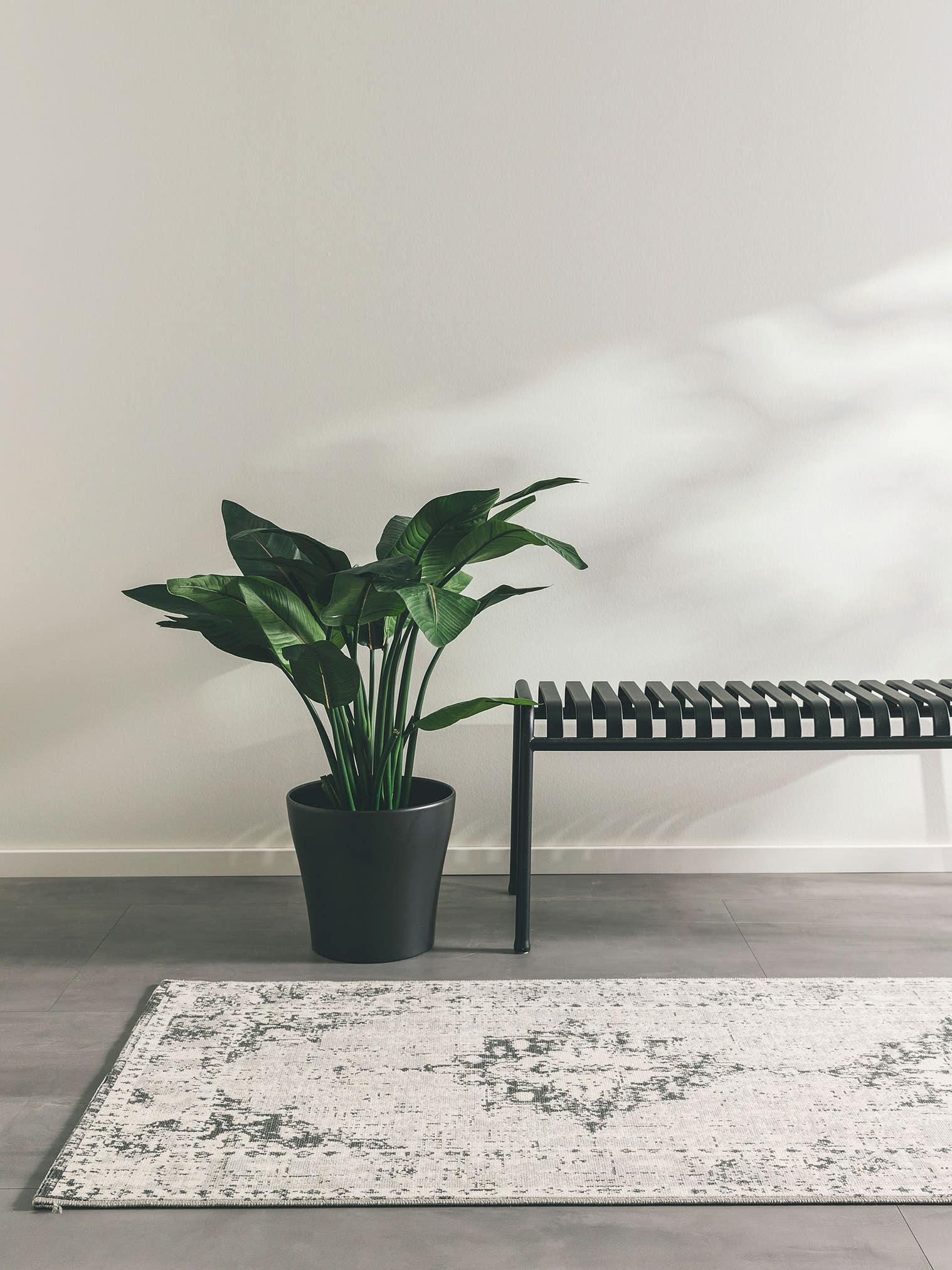 Tapis en 100% Polypropylène en Gris avec une pile de 1- 5 mm de hauteur de benuta Nest