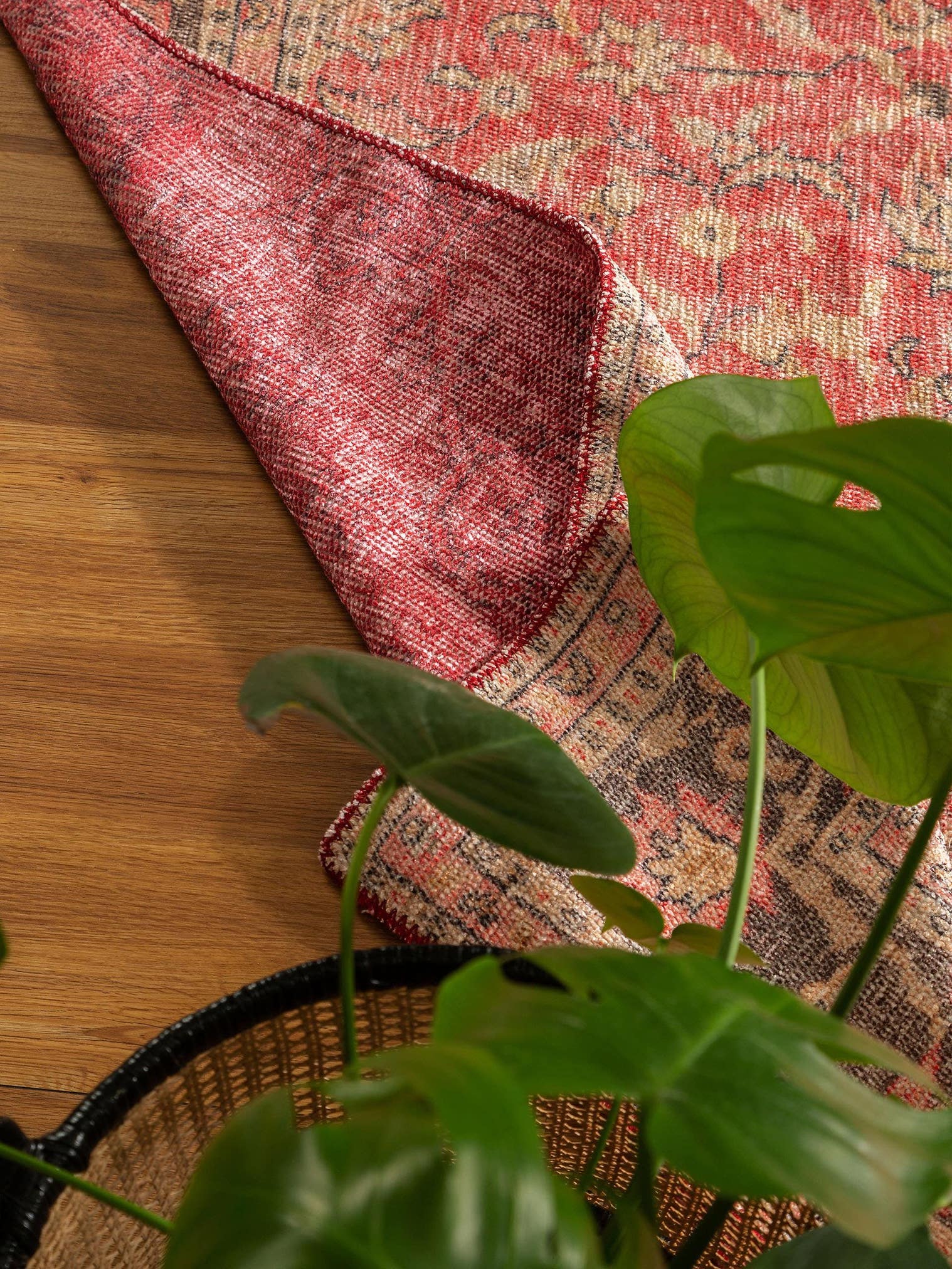 Tapis en 80% Polyester, 20% Coton en Rouge avec une pile de 1- 5 mm de hauteur de benuta
