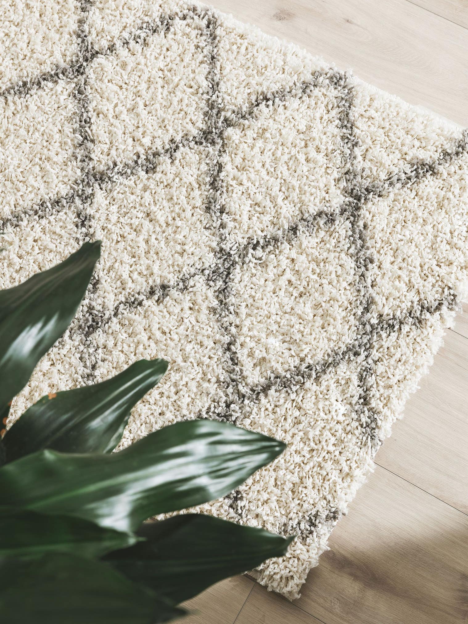 Tapijt van 100% Polypropyleen in Beige met een 31 - 40 mm hoge pool van benuta Pop