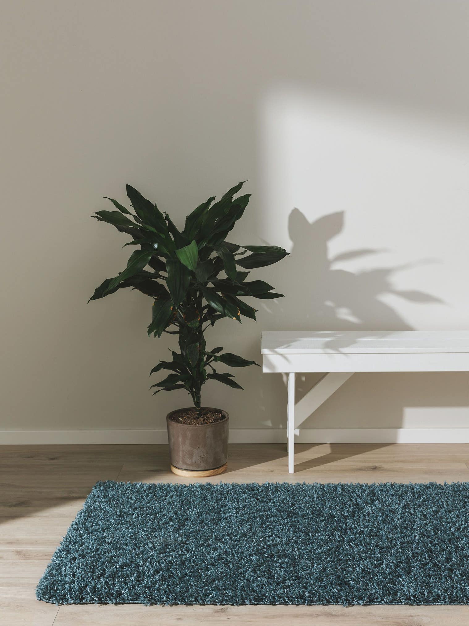 Teppich aus 100% Polypropylen in Blau mit 31 bis 40 mm hohem Flor von benuta Basic