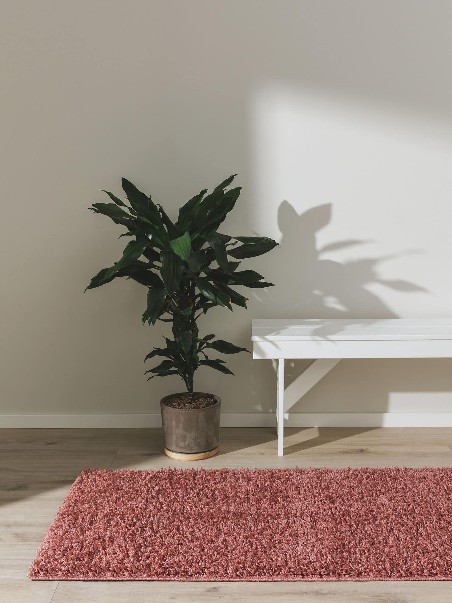 Teppich aus 100% Polypropylen in Rosa mit 31 bis 40 mm hohem Flor von benuta Basic