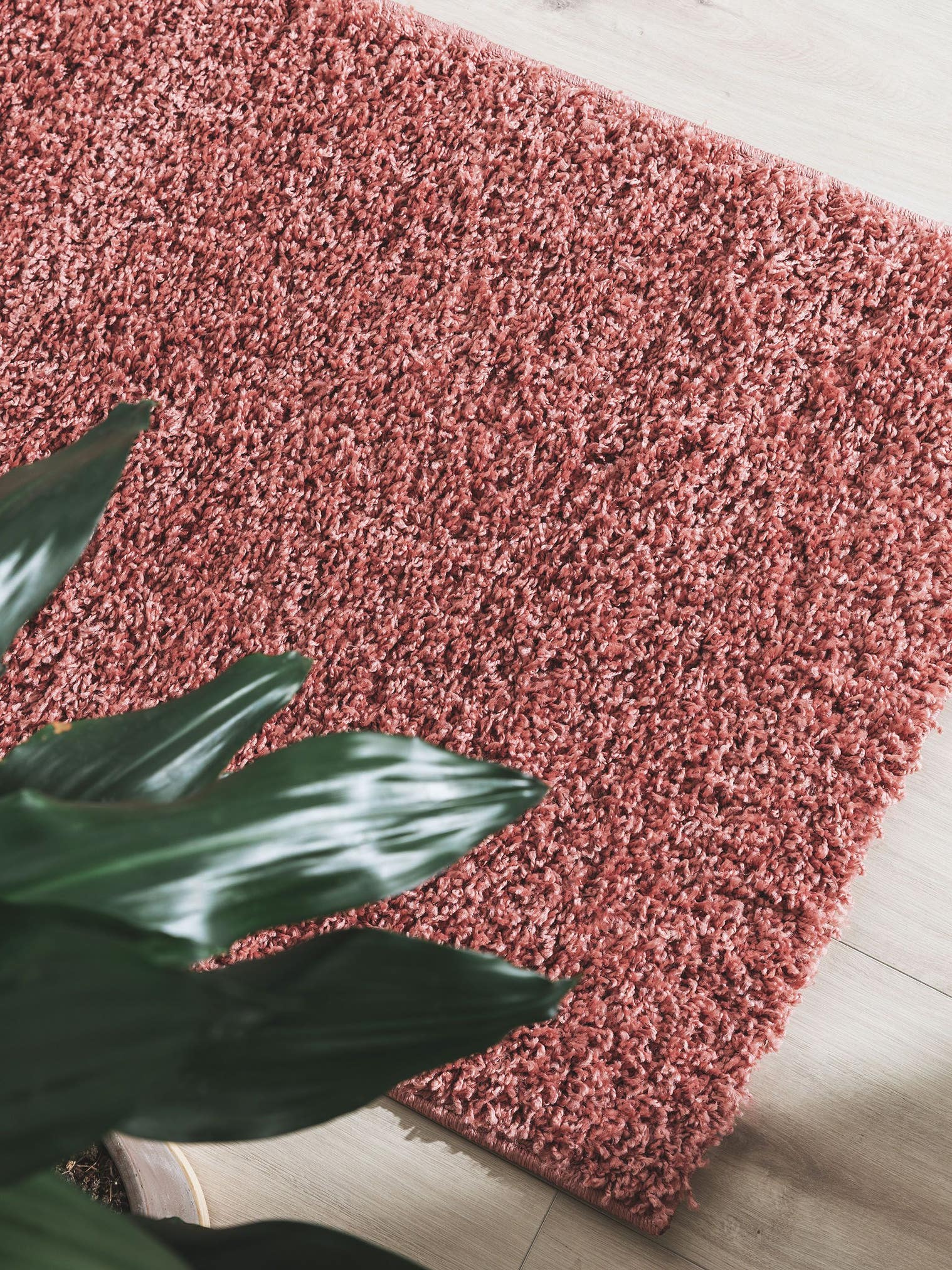 Teppich aus 100% Polypropylen in Rosa mit 31 bis 40 mm hohem Flor von benuta Basic