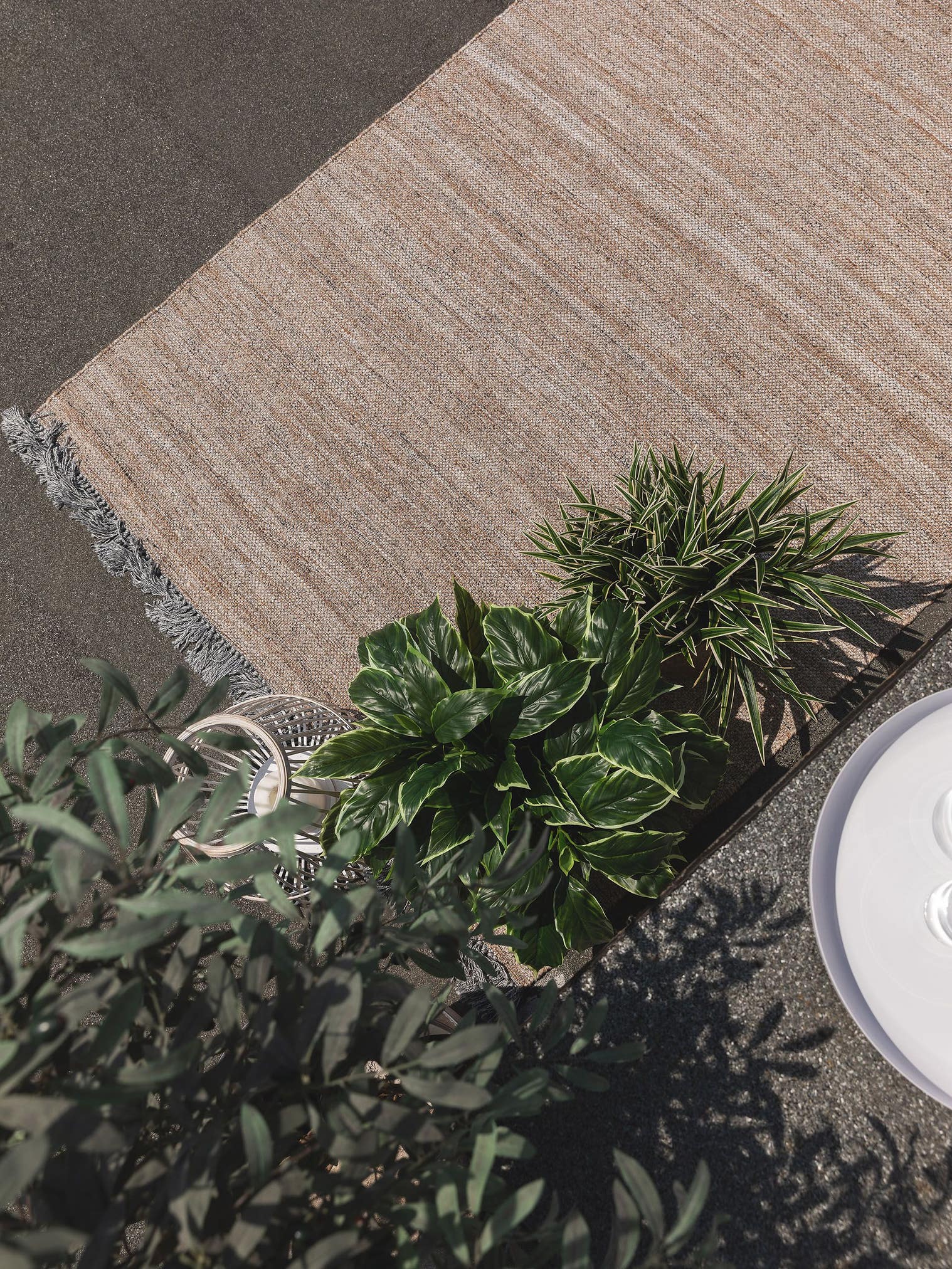 Tappeto di 100% poliestere (riciclaggio PET) in Beige con pelo alto 1- 5 mm da benuta Pure