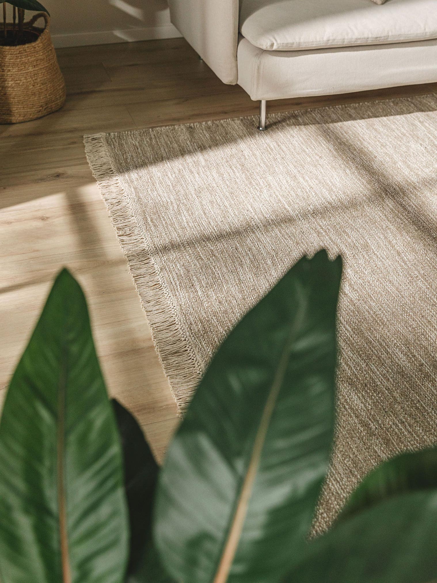 Rug made of 80% wool, 20% cotton in Taupe with a 1- 5 mm high pile by benuta Pure