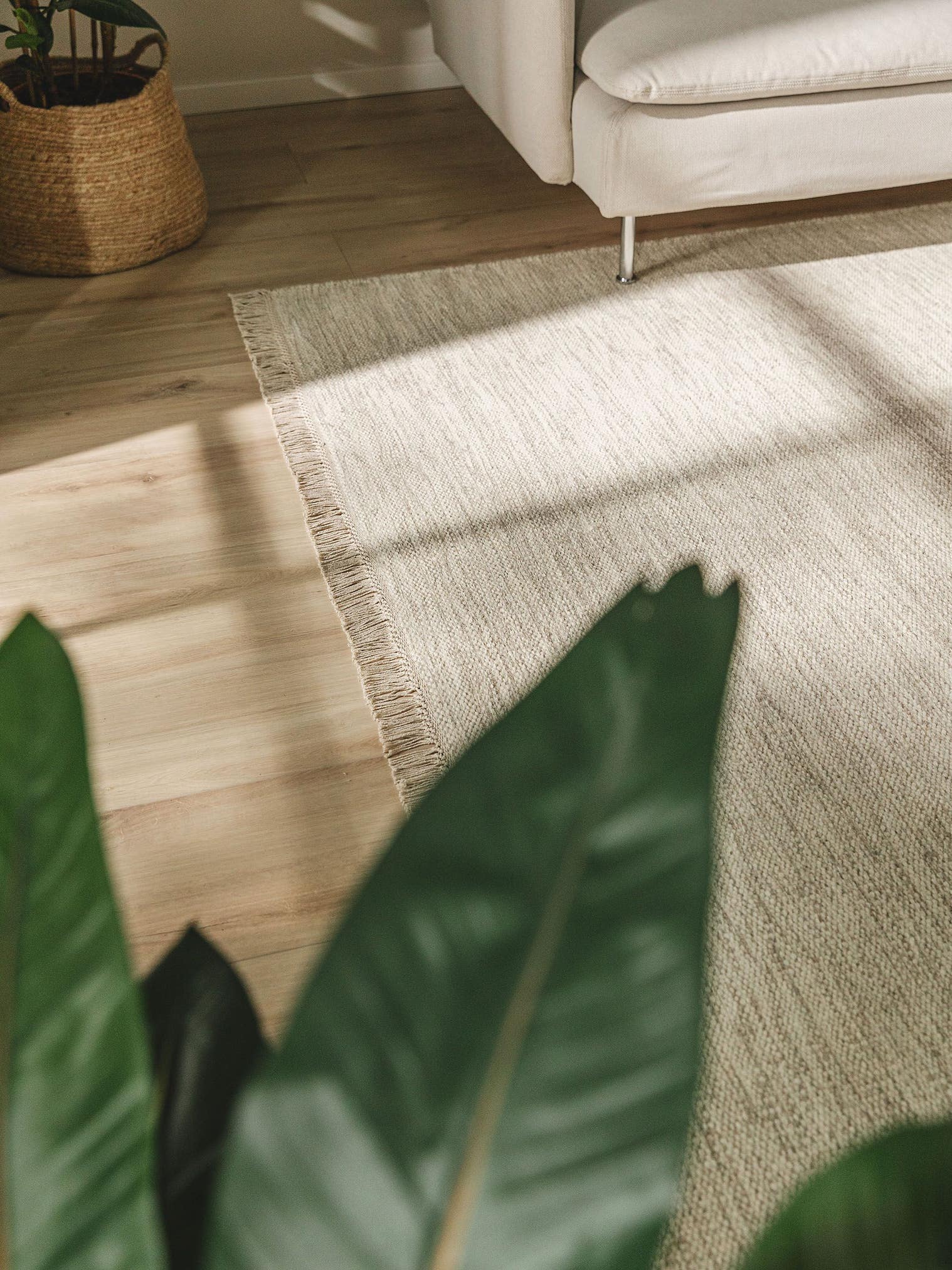 Tappeto di 80% lana, 20% cotone in Beige con pelo alto 1- 5 mm da benuta Pure