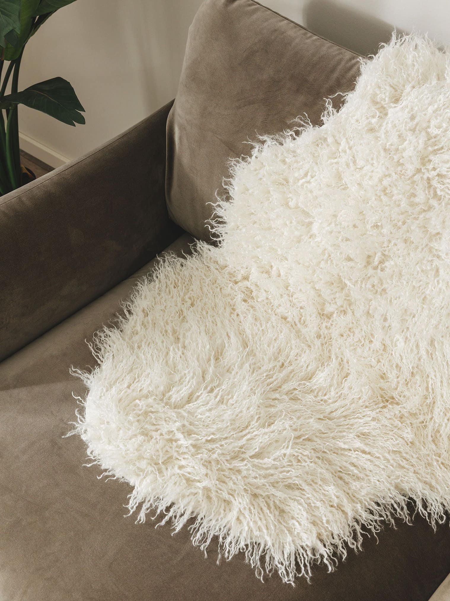 Rug made of 100% Polyester in Beige with a 6 - 10 mm high pile by benuta Nest