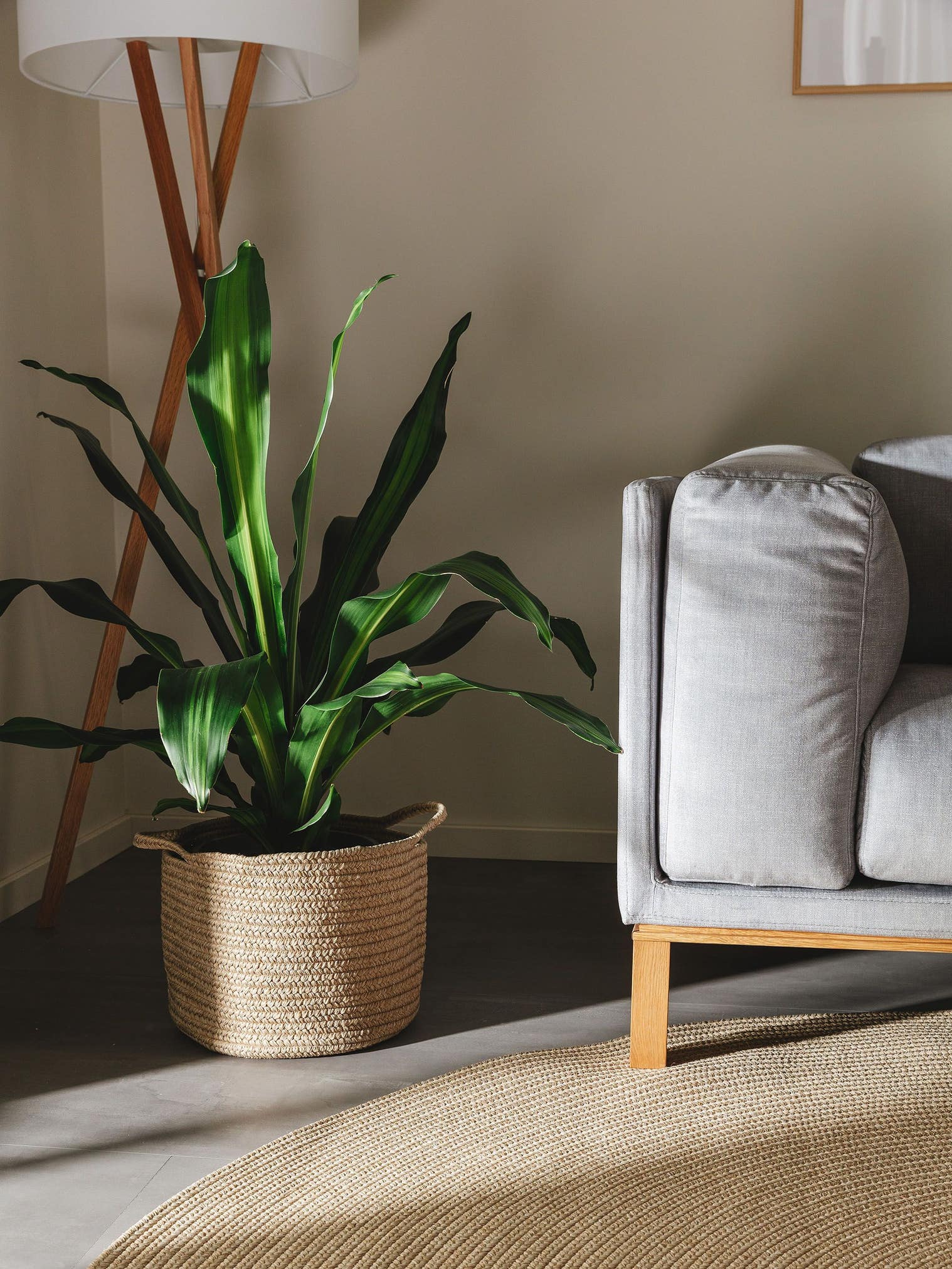 Korg Nandi Beige med -design i 80% Polypropylen, 20% Polyester från benuta Nest
