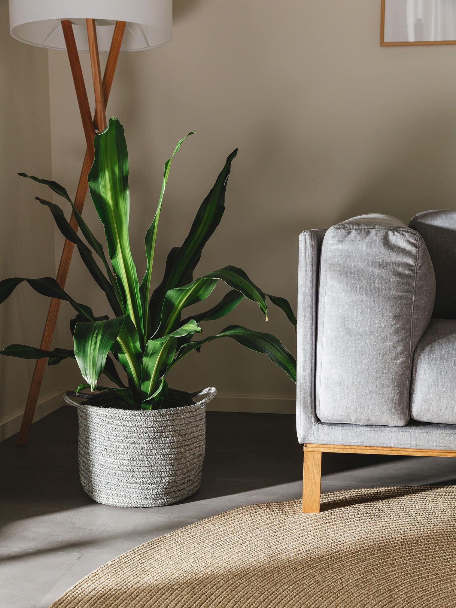 Korb Nandi Grau im Design  aus 80% Polypropylen, 20% Polyester von benuta Nest