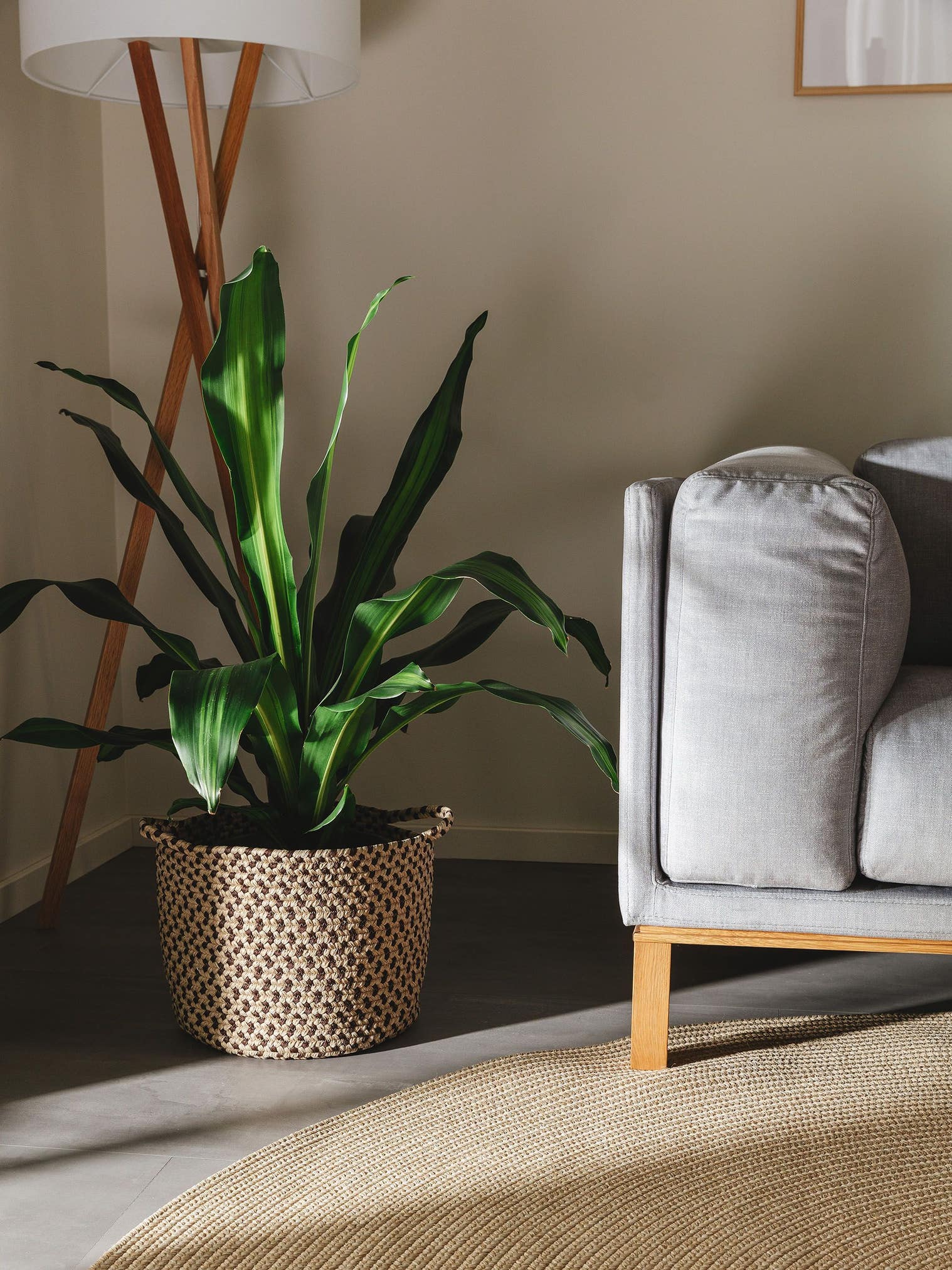 Korg Nandi Beige/brun med -design i 80% Polypropylen, 20% Polyester från benuta Nest