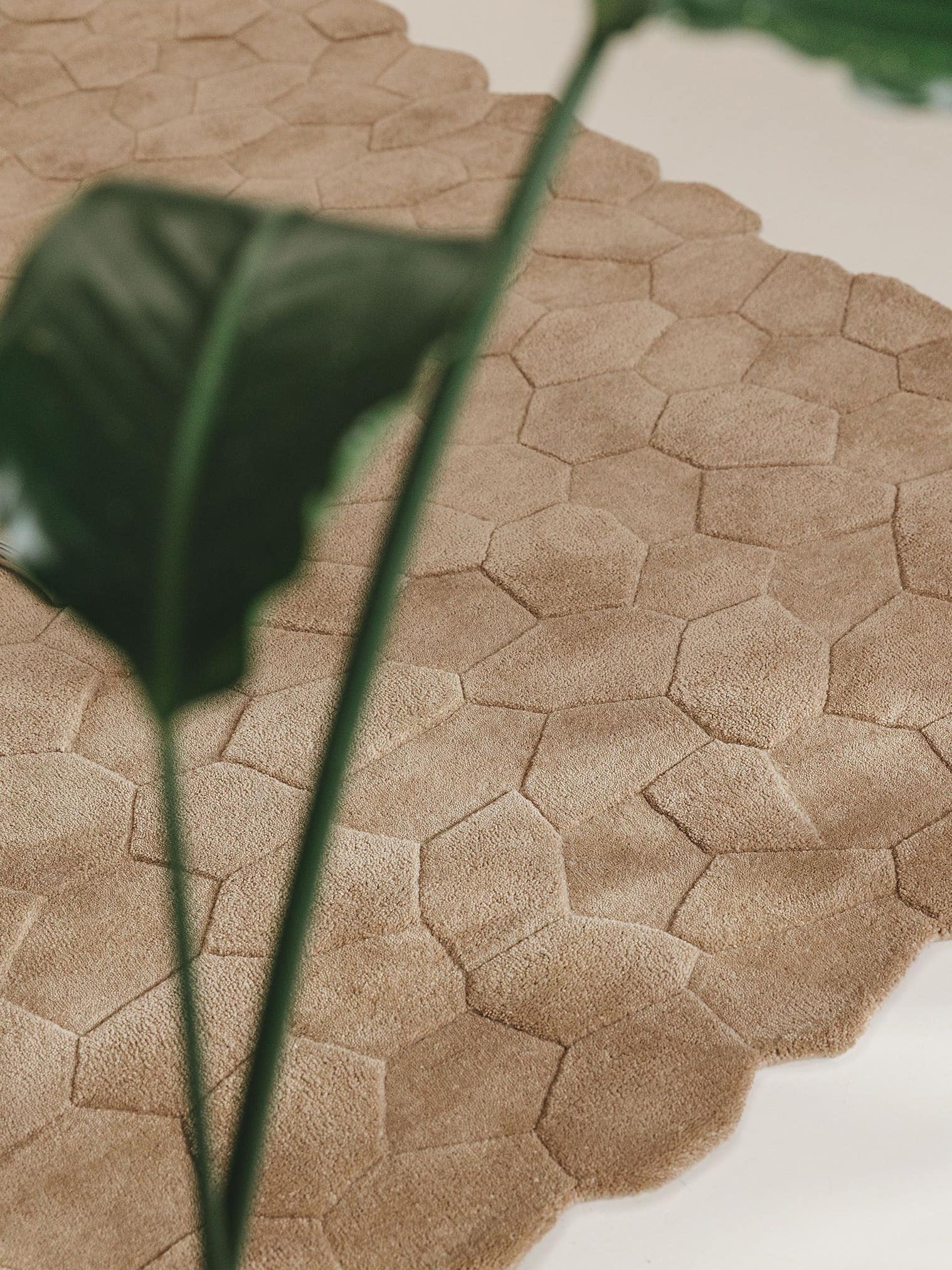 Tapis en 100% Laine (de Nouvelle-Zélande) en Beige avec une pile de 11 - 20 mm de hauteur de benuta Pure