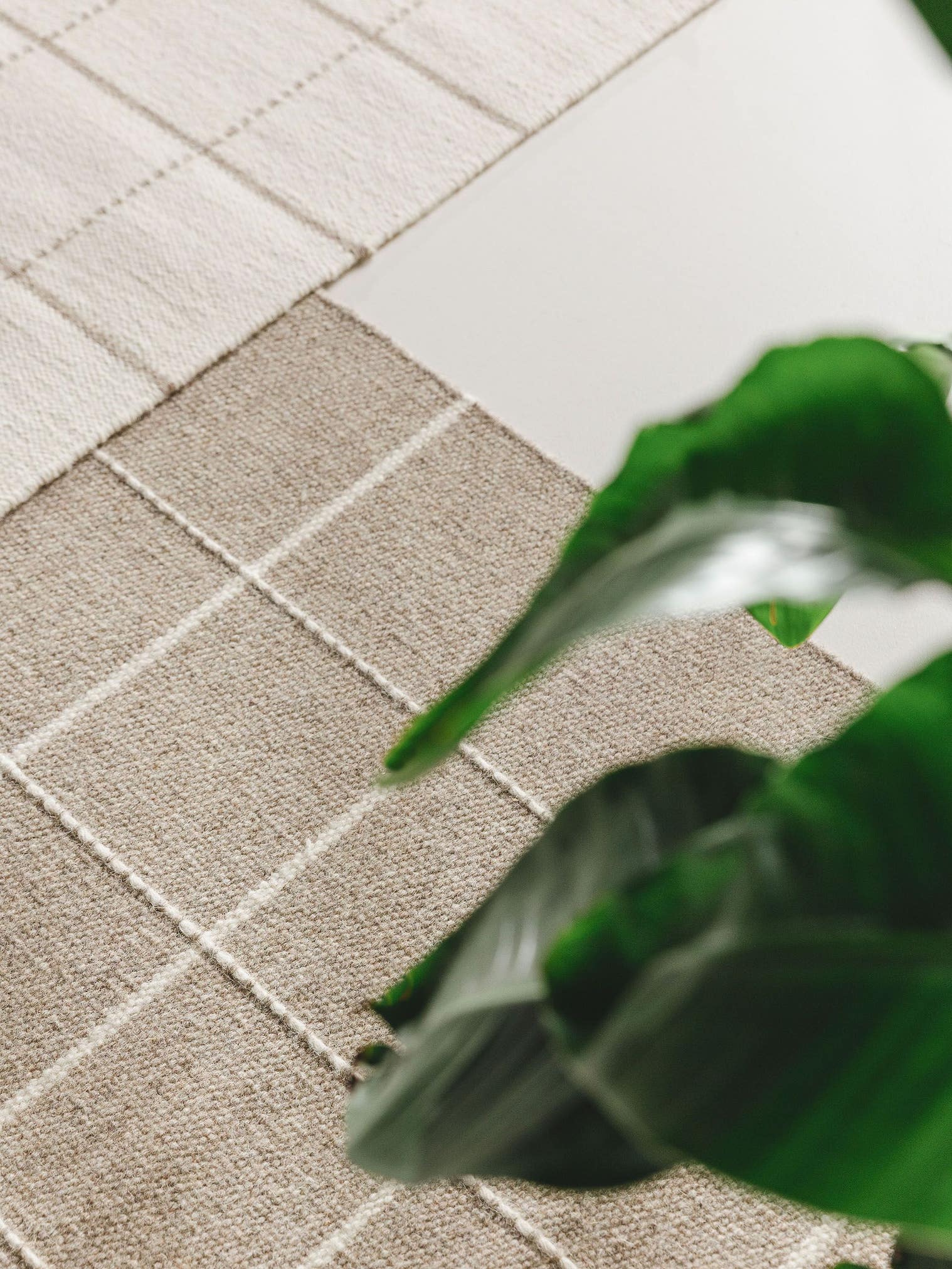 Teppich aus 90% Wolle, 10% Baumwolle in Taupe mit 6 bis 10 mm hohem Flor von benuta Pure