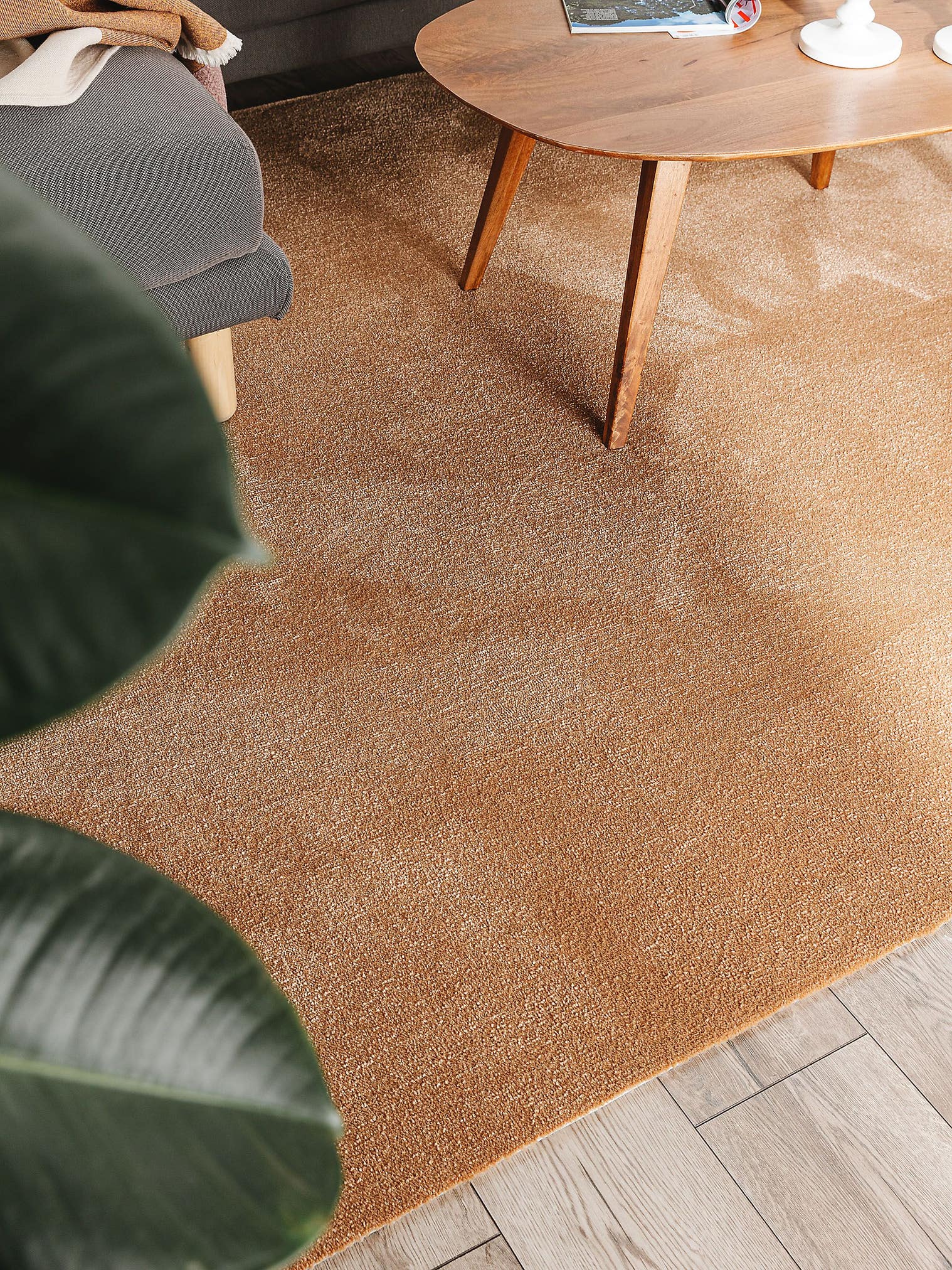 Teppich aus 100% Polypropylen in Braun mit 6 bis 10 mm hohem Flor von benuta Nest