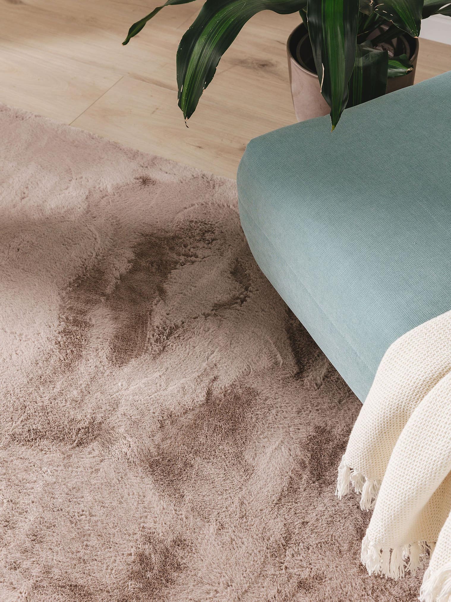 Teppich aus 100% Polyester in Taupe mit 11 bis 20 mm hohem Flor von benuta Basic