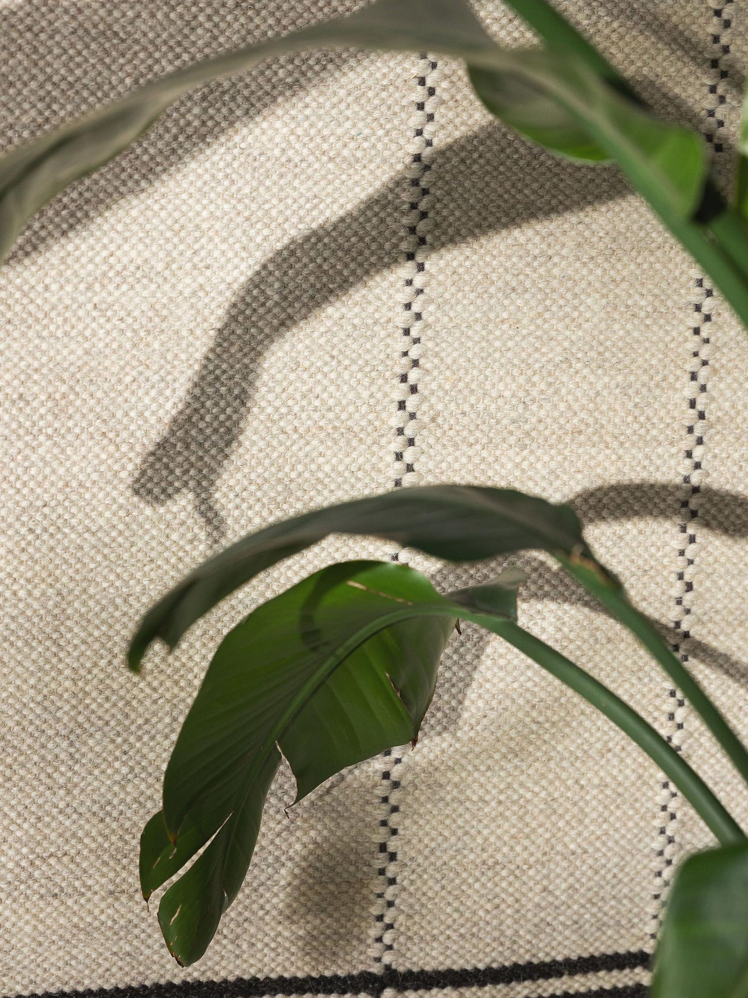 Teppich aus 70% Wolle, 30% Baumwolle in Beige mit bis 5 mm hohem Flor von benuta Pure