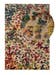 In- & Outdoor-Teppich Noelia Multicolor