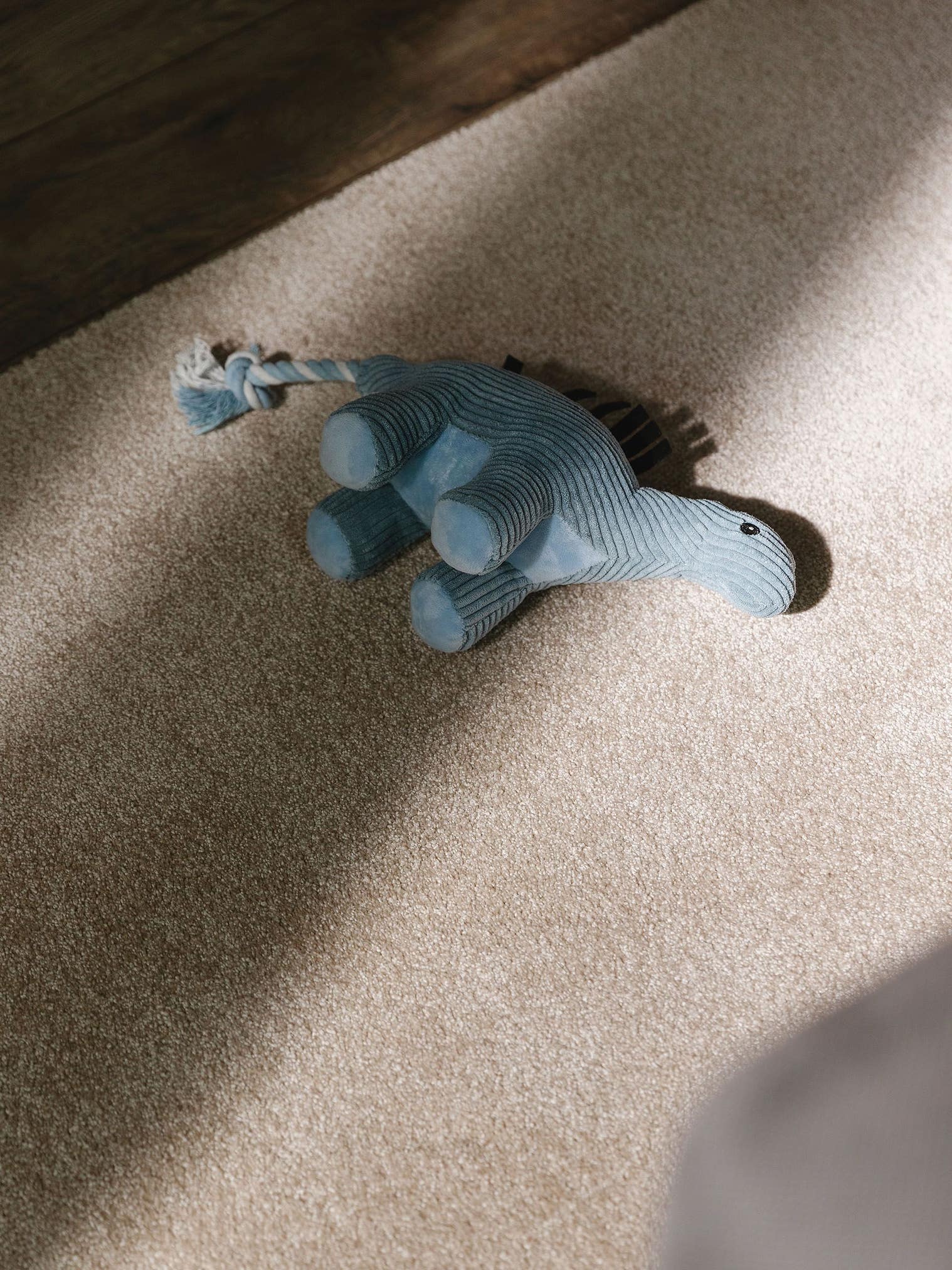 Teppich aus 100% Polypropylen in Beige mit 11 bis 20 mm hohem Flor von benuta Nest