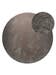Waschbarer Hochflorteppich Melvin Taupe