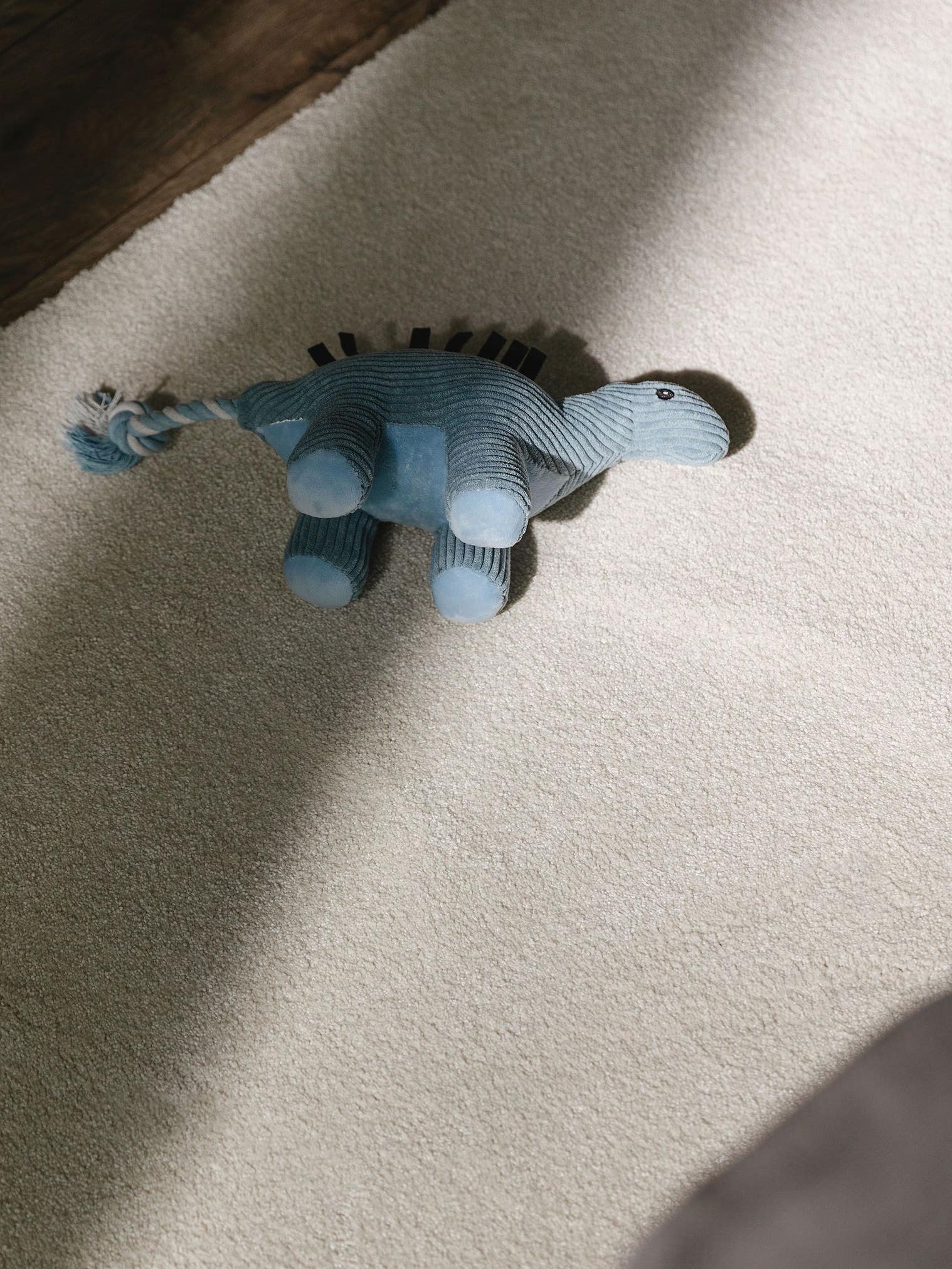 Teppich aus 100% Polypropylen in Weiß mit 11 bis 20 mm hohem Flor von benuta Nest