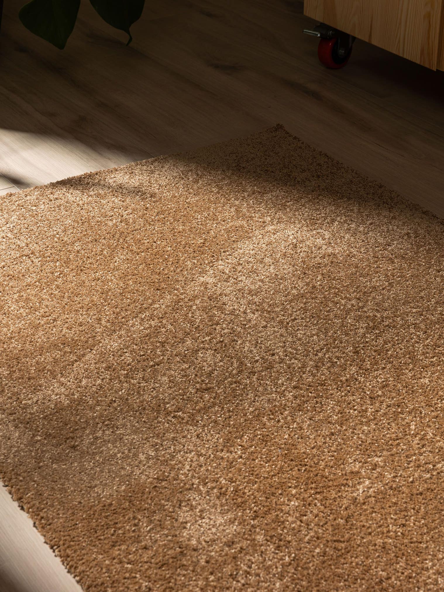 Teppich aus 100% Polyester (30% recycled) in Beige mit 11 bis 20 mm hohem Flor von benuta Nest